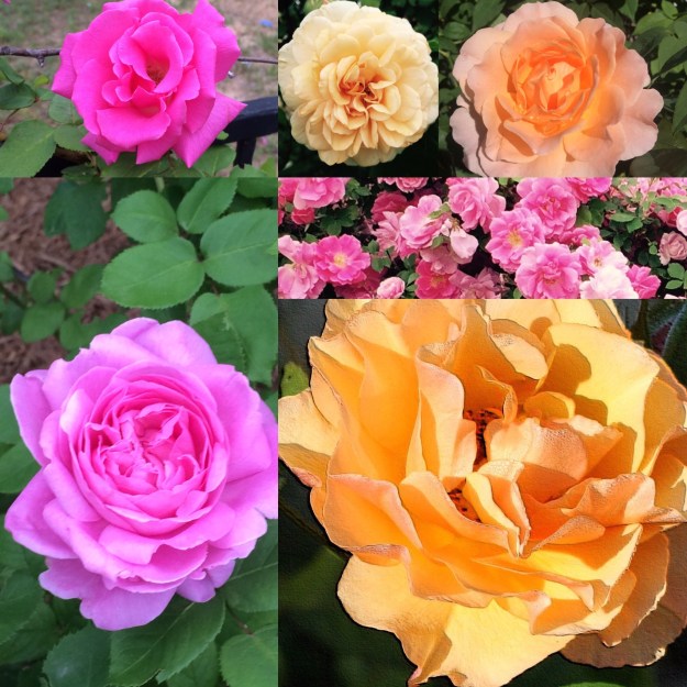 5D0607C8-9D07-4A95-B295-147D5E7A3AA0