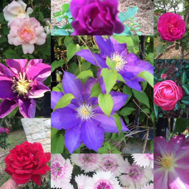 F2A6061F-7CB2-4C2E-987D-ECDC8079B3C6